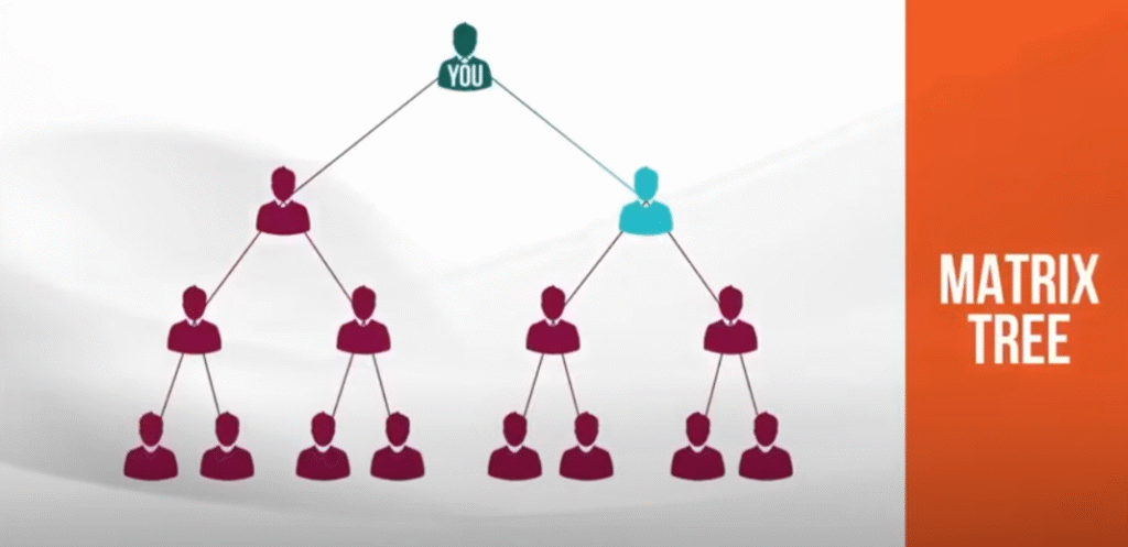 LiveGood Compensation Plan Matrix
