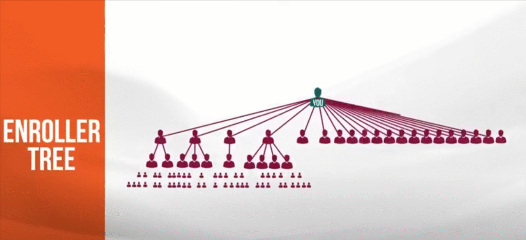 Livegood Compensation Plan Enroller Tree
