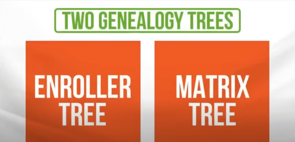 Livegood Compensation Plan Genealogy Tree Enroller Matrix