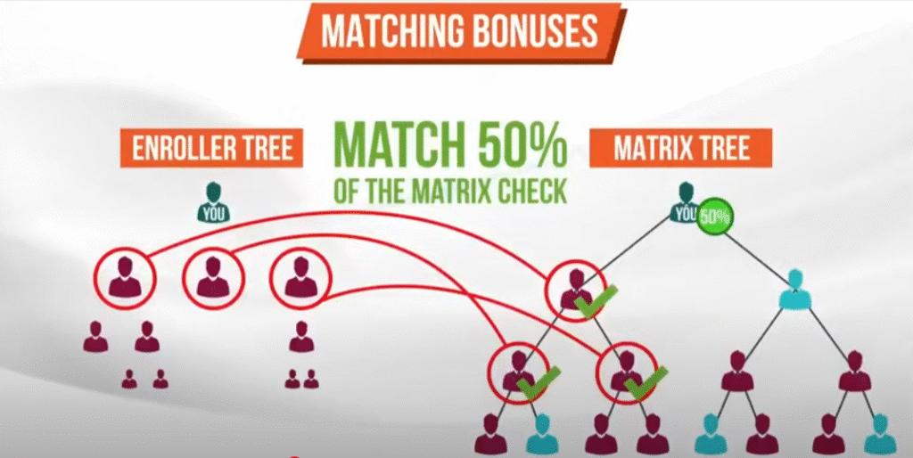 Livegood Compensation Plan Matching Bonuses